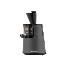 Máy ép chậm Uniblend UBE-250 (mã cũ: E250)